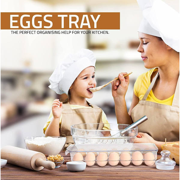 Egg Container for Refrigerator, 14 Egg Holder with Lid and Handle, Egg Organizer for Fridge, Egg Storage and Egg Tray (Transparent, 1-Pack)