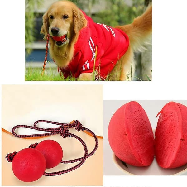 Kastboll hund | Boll med snöre hund | 3-pack hundleksaksbollar