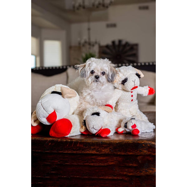 Myk hundeleke, Lambchop, 25 cm Regular, Hvit, Stor