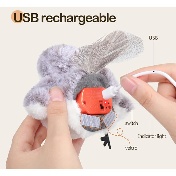 Realistic Plover Sound, Touch-Activated Interactive Cat Toy, Suitable for Indoor Cats (Cannot Fly).