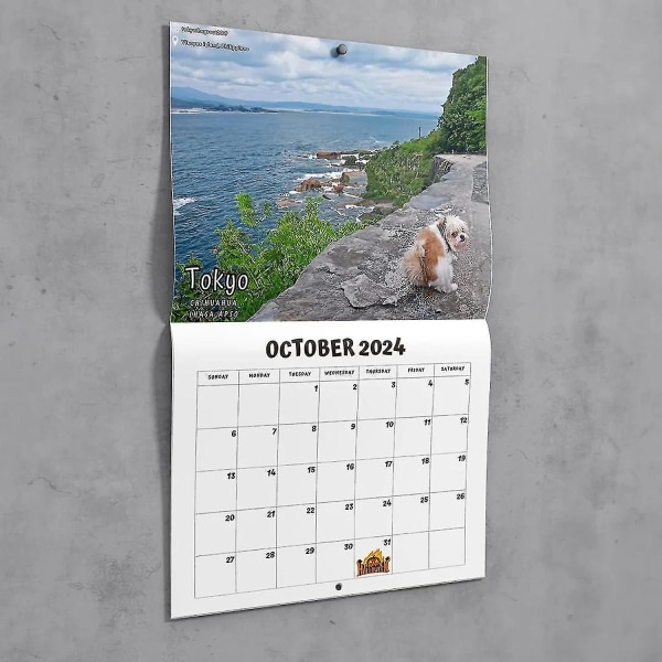 2024-kalender, hunde, der tisser på smukke steder, vægkalender, vægkalender for hunde, vægkalender, sjov vægkunst, humor, humor