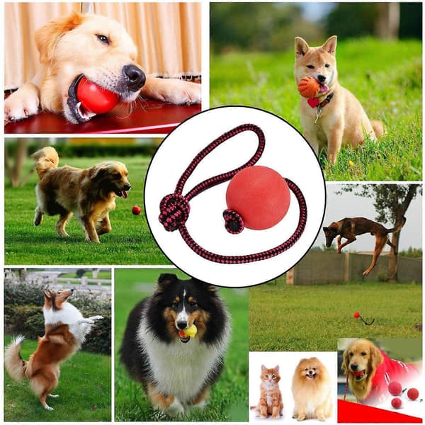 Kastboll hund | Boll med snöre hund | 3-pack hundleksaksbollar