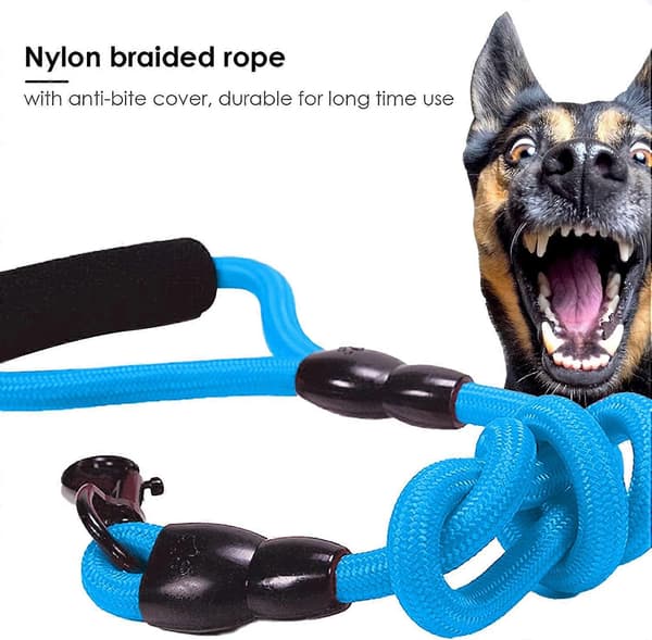 Hundträningskoppel, Kraftigt Nylon Husdjurskoppel, Blå