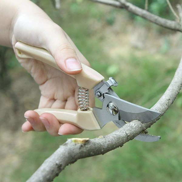 Trädgårdsbeskärning Trädgårdssaksör Handbeskärare Beskärningssax för grenar, blommor, fruktplockning, trimning av växter, bonsai (plast)