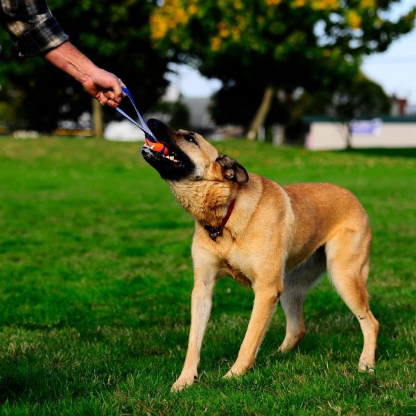 Ultra Tug Hundelegetøj Med Gummibold Træk-Krig Interaktivt Hentelegetøj til Hunde, Medium Medium
