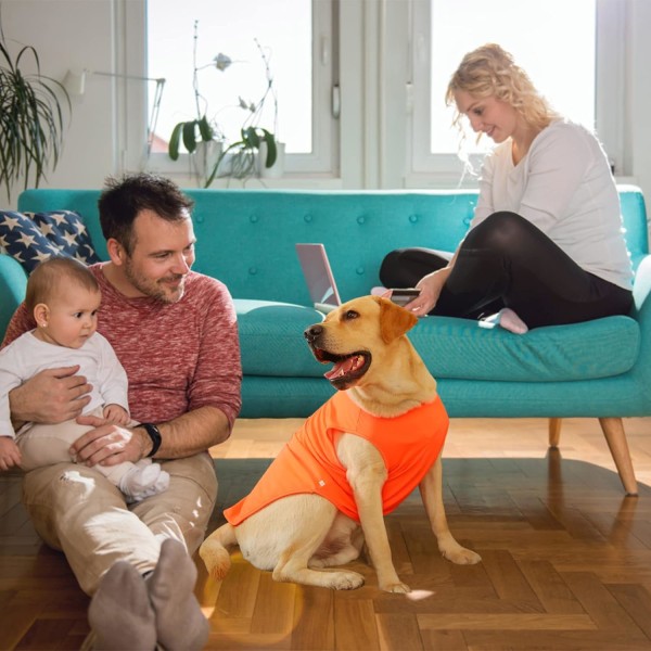 t-shirt med nummertryk til sommer, basic, åndbar vest til hvalpe, t-shirt til kæledyr uden ærmer, tanktop til store, mellemstore og små hunde (XX-Large, orange) Orange XXLarge