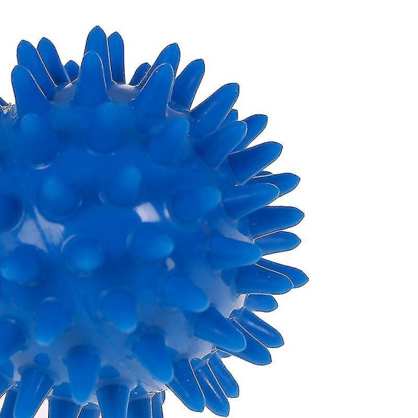 Full Body Spiky Massage Ball Hård Stressboll 6cm För Fitness Sport Träning