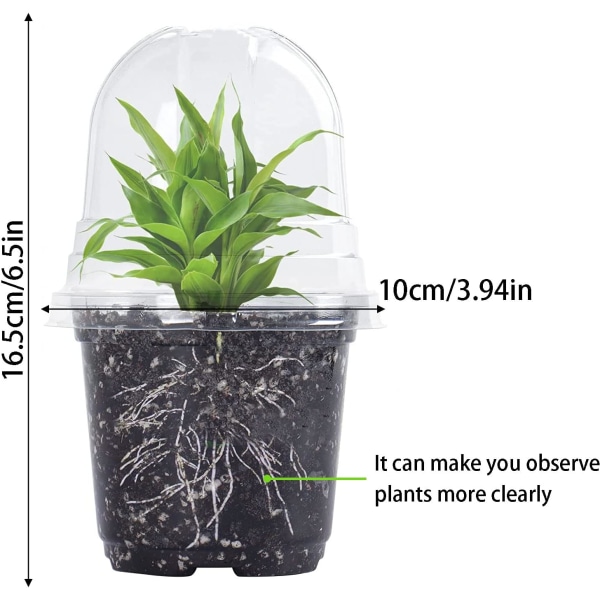10 kpl läpinäkyvät taimiruukut kosteuskuvulla, 10 cm muoviset kasviruukut läpinäkyvät kukkaruukut reiällä, kylvöruukut siemenkasvatusruukut tarralla