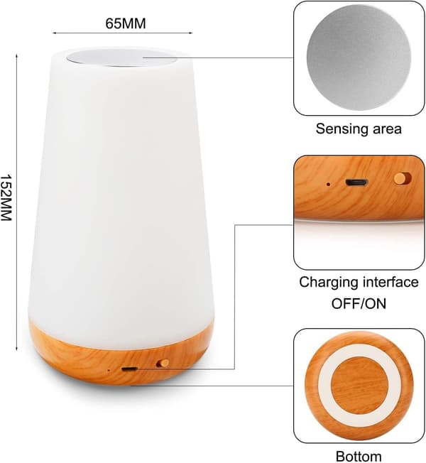 LED Night Light Touch Lamp Table Lamp for Bedroom Rechargeable Dimmable with Remote Control + RGB Color Changing [Energy Class A+]