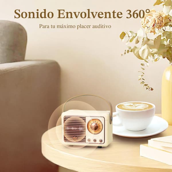 Mini Bluetooth Speaker with FM Radio, Rechargeable Battery, TF Card/AUX/USB Support, Bluetooth 5.0, Home Decor, Gift