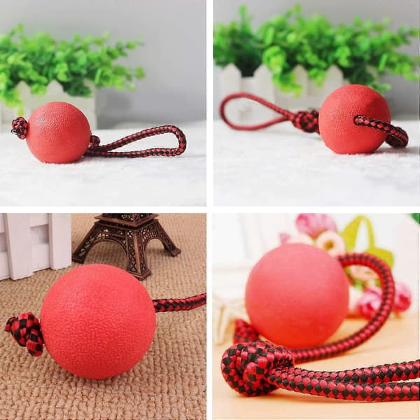 Kastboll hund | Boll med snöre hund | 3-pack hundleksaksbollar