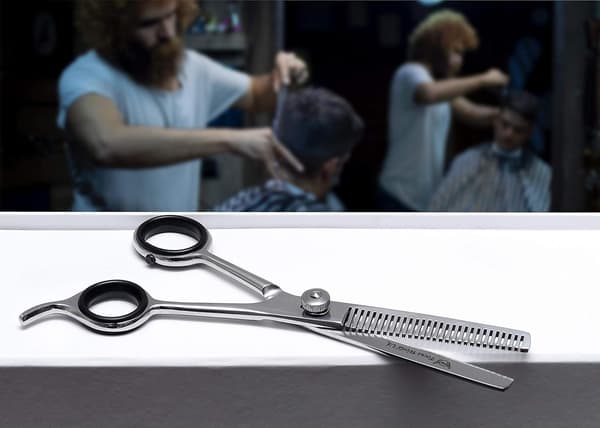 Hårtynningssaks 6,5 tommer Barber Hår Saks for Hårklipp, Teksturering & Styling - Rustfritt Stål Silver 1 Count (Pack of 1)
