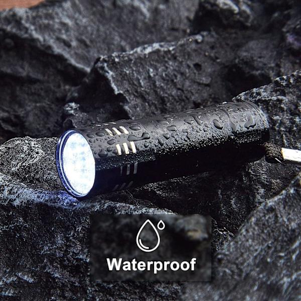 2 st Mini ficklampa Liten handhållen ficklampa Barn Led ficklampa 3 tum Vattentät Pennficklampa med snören för Camping Vandring Utomhus, Batterier Black, Silver