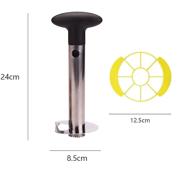 Ananas Skärare, Rostfritt Stål Ananas Skärare, Ananas Slicer, För Hemmet