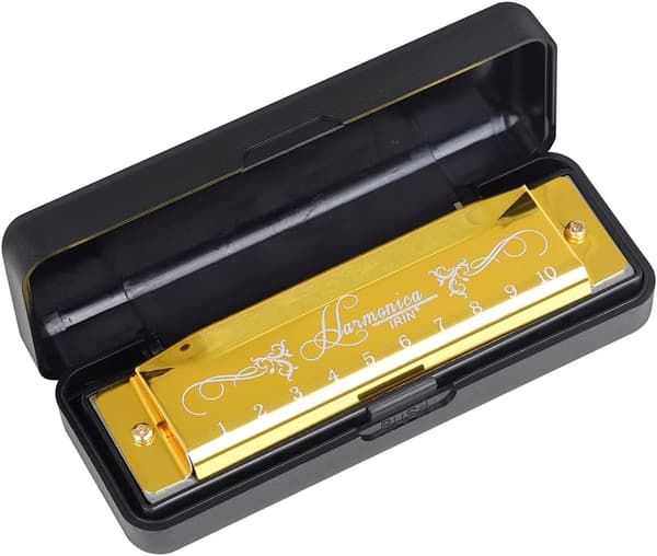 Blues Harmonica, Diatonic Blues Harmonica in C Key, 10 Holes 20 Tones Blues Harp Harmonica (Rose Red)