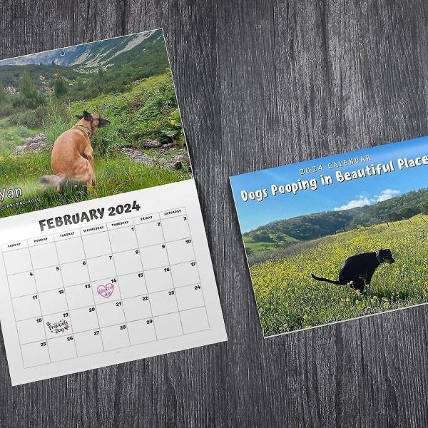 2024-kalender, hunder som basjing på vakre steder Veggkalender, hunde-basjing-veggkalender, morsom veggkunst-kneppel-humor-prank-kalender