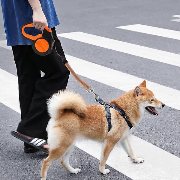 Infällbart hundkoppel, utdragbart koppel, reflextejp, starkt band med halkfritt handtag