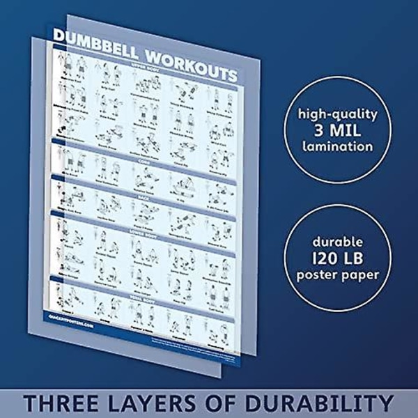 Wabjtamcourt Learning Dumbbell Workout Plakat - Laminert - Gratis kroppsvekt treningsguide | Hjem Fitness Chart | Dobbeltsidig - 45cm X 60cm