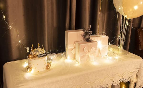 Fairy light powered by 2 battery packs, 8 modes, 50 LEDs, 5 meters copper wire, waterproof (warm white light)
