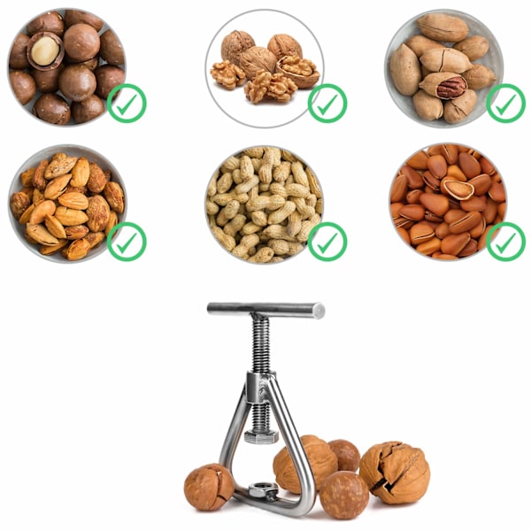 Nøddeknækker, kraftig rustfrit stål, egnet til alle nødder, sorte valnødder, macadamianødder, hasselnødder, mandler, pekannødder og valnødder.