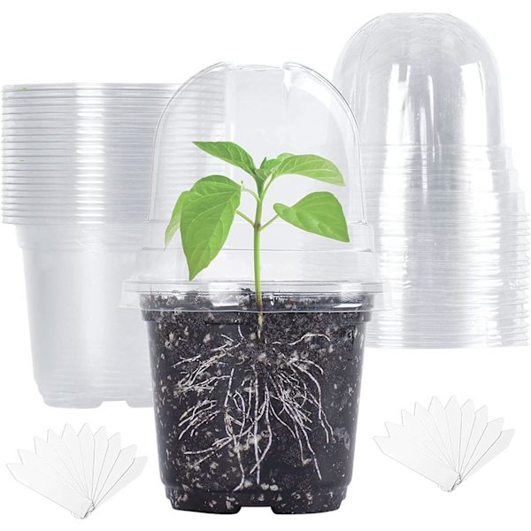 20 st genomskinliga plantskottkrukor med fuktighetskupol, 10 cm genomskinliga plastblomkrukor med hål, såddkrukor med etikett Transparent 20pcs