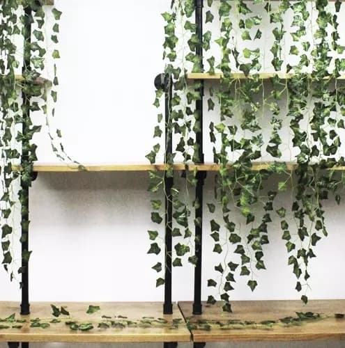 25 metrin Murattiköynnös / Lehtiköynnös - 2 m pitkä Vihreä