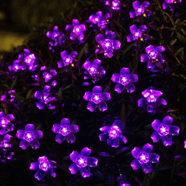 23ft/7M 50LED Solcellslykta Dekorativa Persikoblomstränglampor Lila för Utomhusträdgård