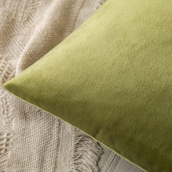 Kuddfodral Soffa Kuddfodral Vardagsrum Kuddfodral Modern Hem Elegant Mjuk Hållbar Sammet Osynlig Dragkedja 2st 50x50cm Grön
