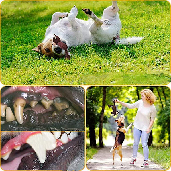 Hund Squeaky Plysch Valp Lekset Värdepaket Valp Leksaker Valp Bulk Stora Hund Leksaker Husdjur Tugga Leksak Molar Tänder Interaktiv Drag