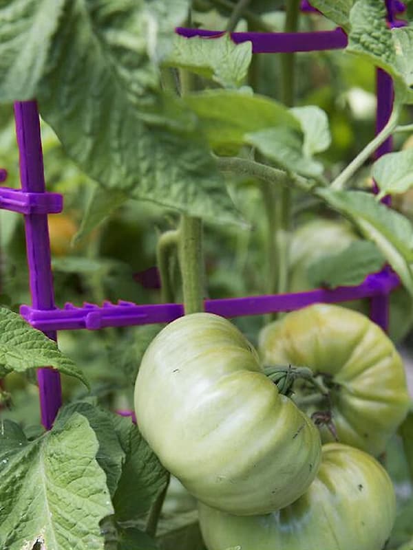 12 st trädgårdsstöd armar för tomatbur för vertikala klätterväxter