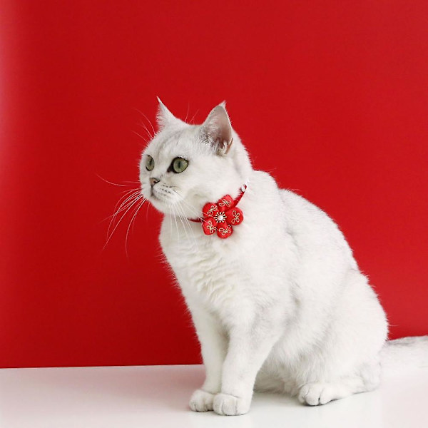 Katt leksak, fluga, klocka och justerbar krage för interaktiv lektid och vardagskläder inomhus husdjur leksaker lätt och mjuk säkerhetskonstruktion Kitti