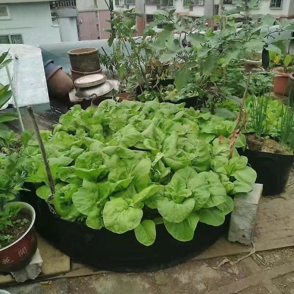 4 stk Rund Garden Grow Bag Filt åndbart stof Have Plant Grow Bag Plantebeholder (grøn, 50/20 cm)
