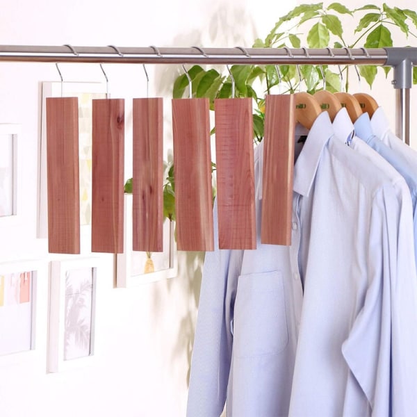 10-pack / 1-pack 10 x cederträ hängande malsskydd med lätt cederdoft luktskydd för fullstora skåp 23,1 x 6,6 x 1,1 cm.