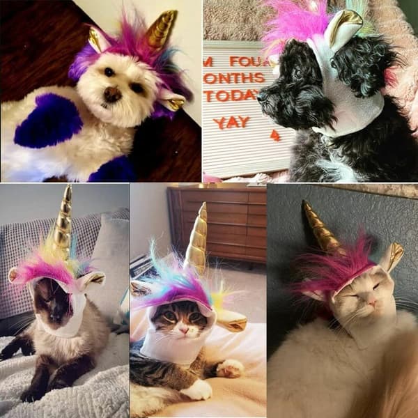 Enhörningshatt för husdjur, katt och liten hund, valp, kattkostym, accessoar för Halloween, cosplay, manmössa
