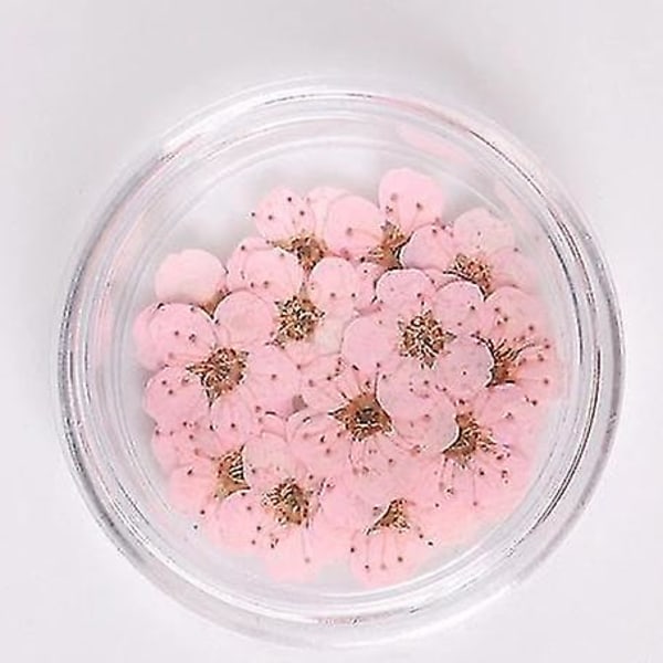 Baby Pink farverige naturlige tørrede blomster til neglekunstdekorationer