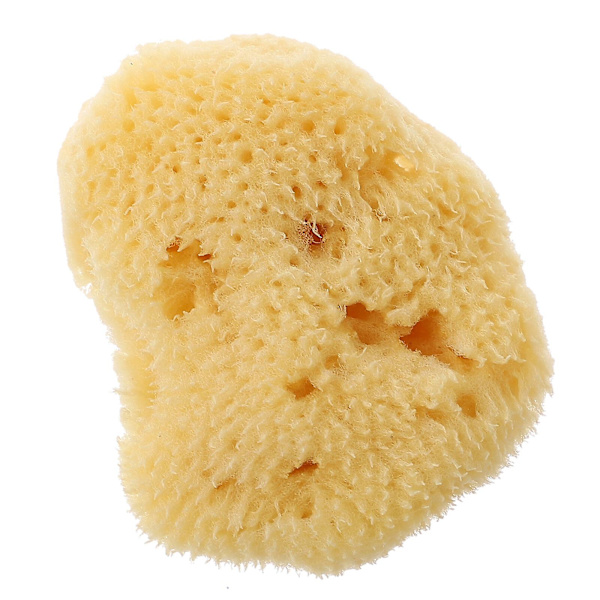 Konstnärsvamp Vattenfärgssvamp Barnkonst Målningsvamp Alla former (4X2cm, Gul)