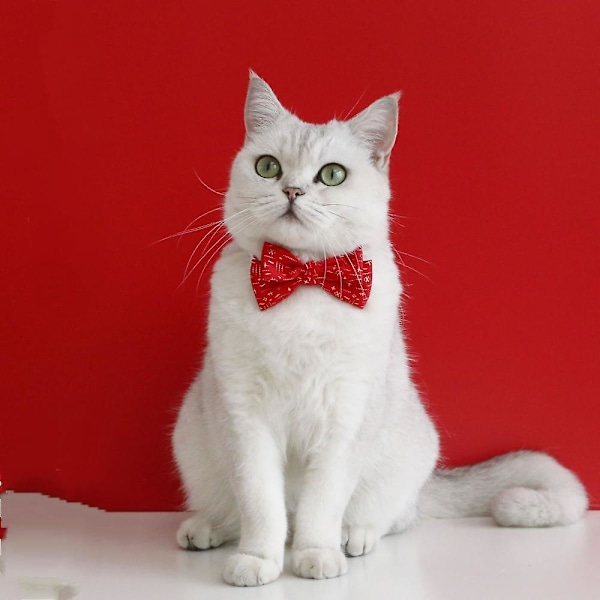 Katt leksak, fluga, klocka och justerbar krage för interaktiv lektid och vardagskläder inomhus husdjur leksaker lätt och mjuk säkerhetskonstruktion Kitti