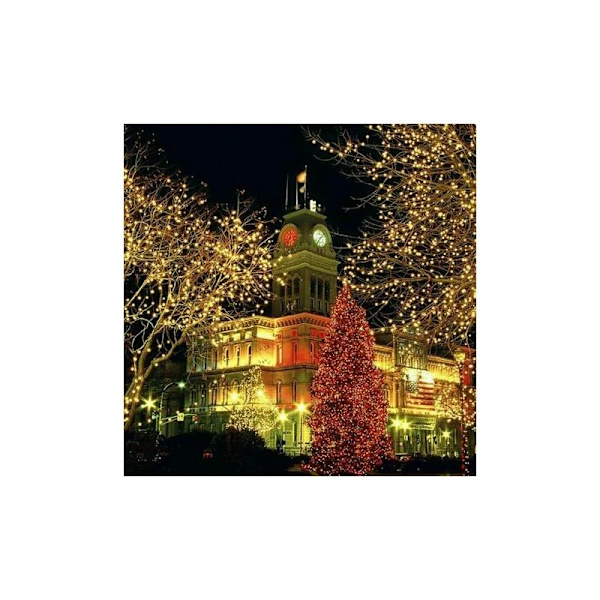 Gardinkedjor, 100M ljusslinga, varmvit, inomhus/utomhus dekoration, IP44 vattentät, semester bröllopsfest ljusslinga (600LED)