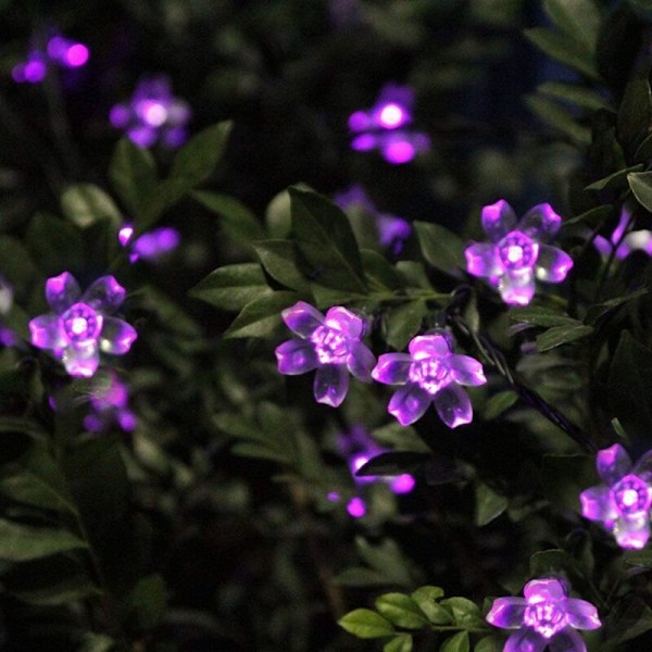 23ft/7M 50LED Solcellslykta Dekorativa Persikoblomstränglampor Lila för Utomhusträdgård