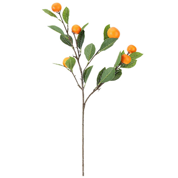 Kunst Kunstig Plast Appelsin Frukt Gren Blomst Hage Hjem Husholdning Dekor