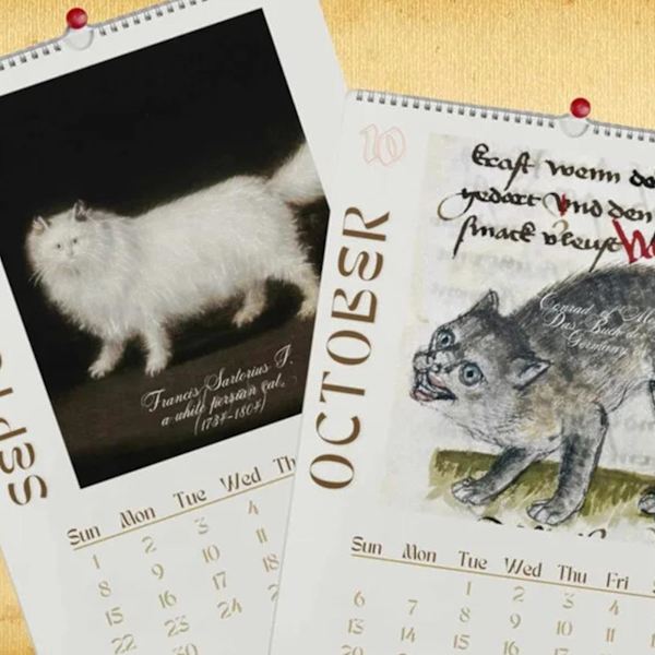 FUL UGLY CATS I RENÄSSANSMÅLNINGAR 2024 Månatlig Väggkalender（S）