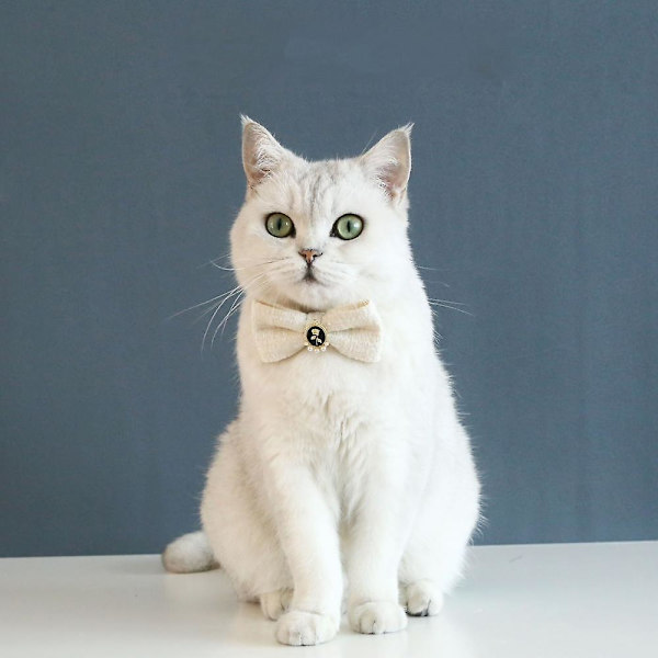 Katt leksak, fluga, klocka och justerbar krage för interaktiv lektid och vardagskläder inomhus husdjur leksaker lätt och mjuk säkerhetskonstruktion Kitti
