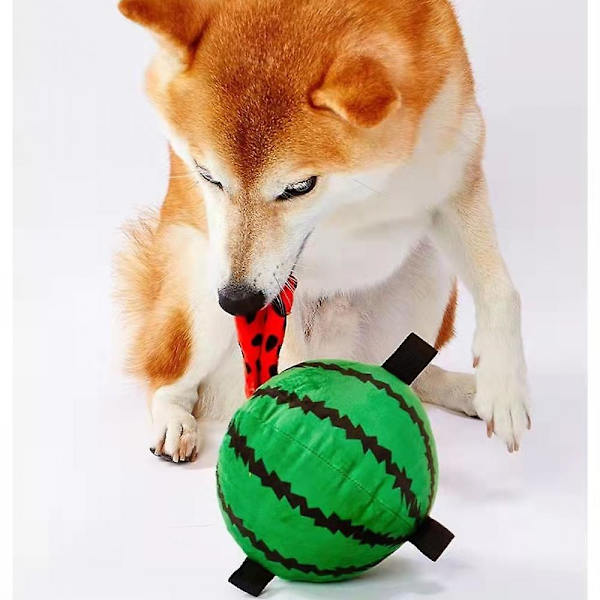 Hundleksaker, pipiga leksaker leksaker husdjur plyschleksaker, husdjur pip mjuk hund husdjur bit interaktiv dragkamp tandprotes leksak molar tänder tänder tänder bit
