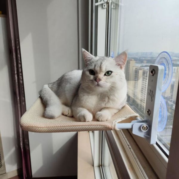 Sladdlös kattfönsterhängmatta med 4 starka sugkoppar för inomhuskatter, enkel montering och hopfällbar, beige kattfönsterhylla