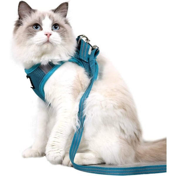 Kattsele och koppel Ultralätt kattungehalsband Mjuk och bekväm kattpromenadjacka Löpande, läcksäker Lämplig för kaninvalpar (Turq,s)