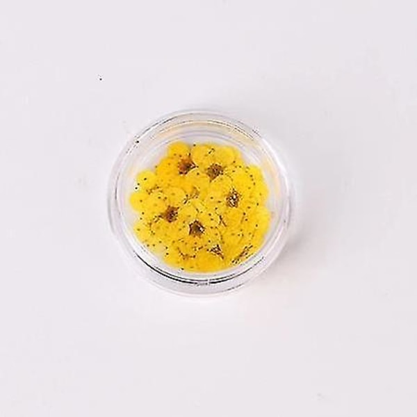Gul 1 farverige naturlige tørrede blomster til neglekunstdekorationer