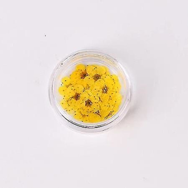 Gula 1 Färgglada Naturliga Torkade Blommor För Nagelkonst Dekorationer