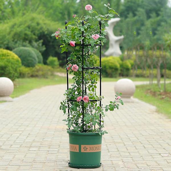 Blomkruka stöd bur, monterad rund stödring, tomatbur, pelare