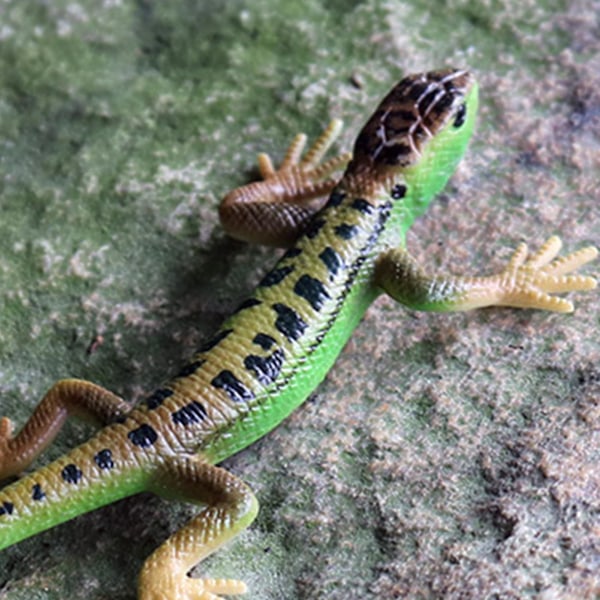 Konstgjord ödla blekningsfri levande färgglad reptilödlor leksak festtillbehör（Grön）