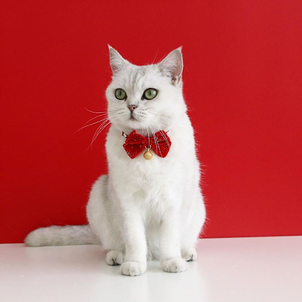 Katt leksak, fluga, klocka och justerbar krage för interaktiv lektid och vardagskläder inomhus husdjur leksaker lätt och mjuk säkerhetskonstruktion Kitti
